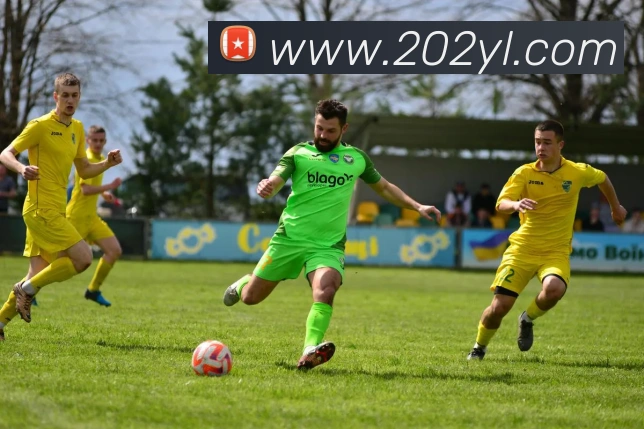平台展示图
